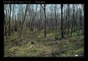  DSC2895-mg